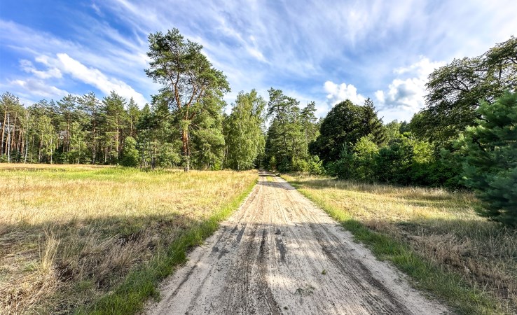 działka na sprzedaż - Jedwabno